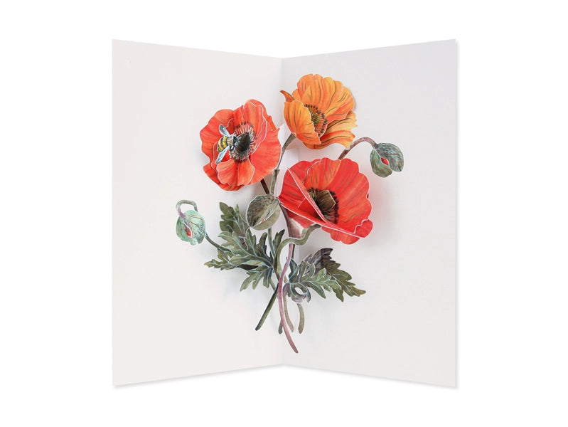 Poppies Pop-up Card